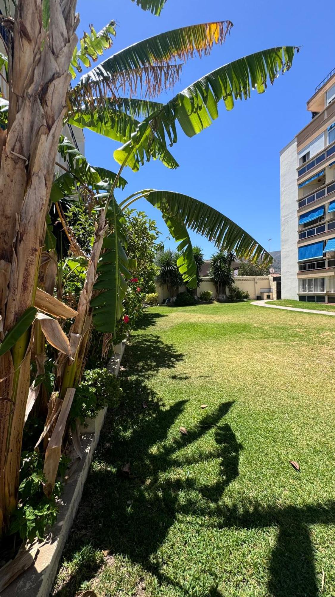 Cactus Stay Apartamento Torremolinos Ngoại thất bức ảnh
